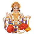 Hanuman Abhishekam