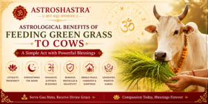 Astrological Benefits of Feeding Green Grass to Cows: A Powerful Remedy for Prosperity, Peace, and Positive Karma
