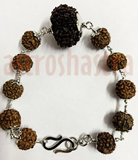 10 Mukhi with 5 mukhi beads Bracelet with silver c