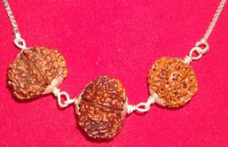 Rudraksh Beads & Pendants