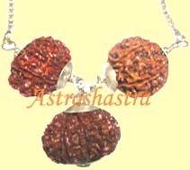 Rudraksh Beads & Pendants