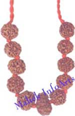Rudraksh Beads & Pendants