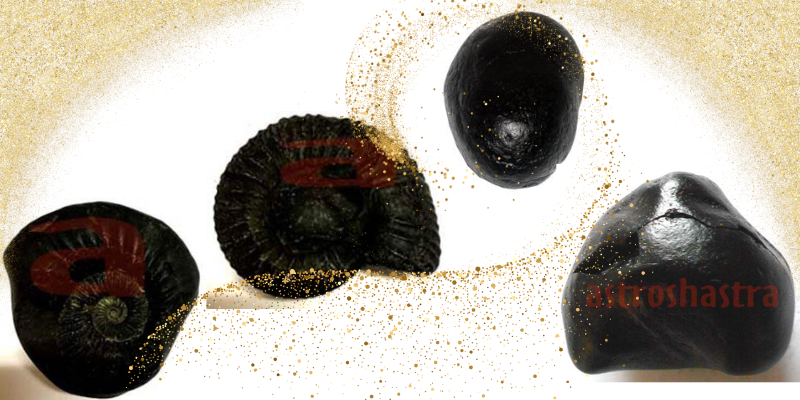 Shaligram