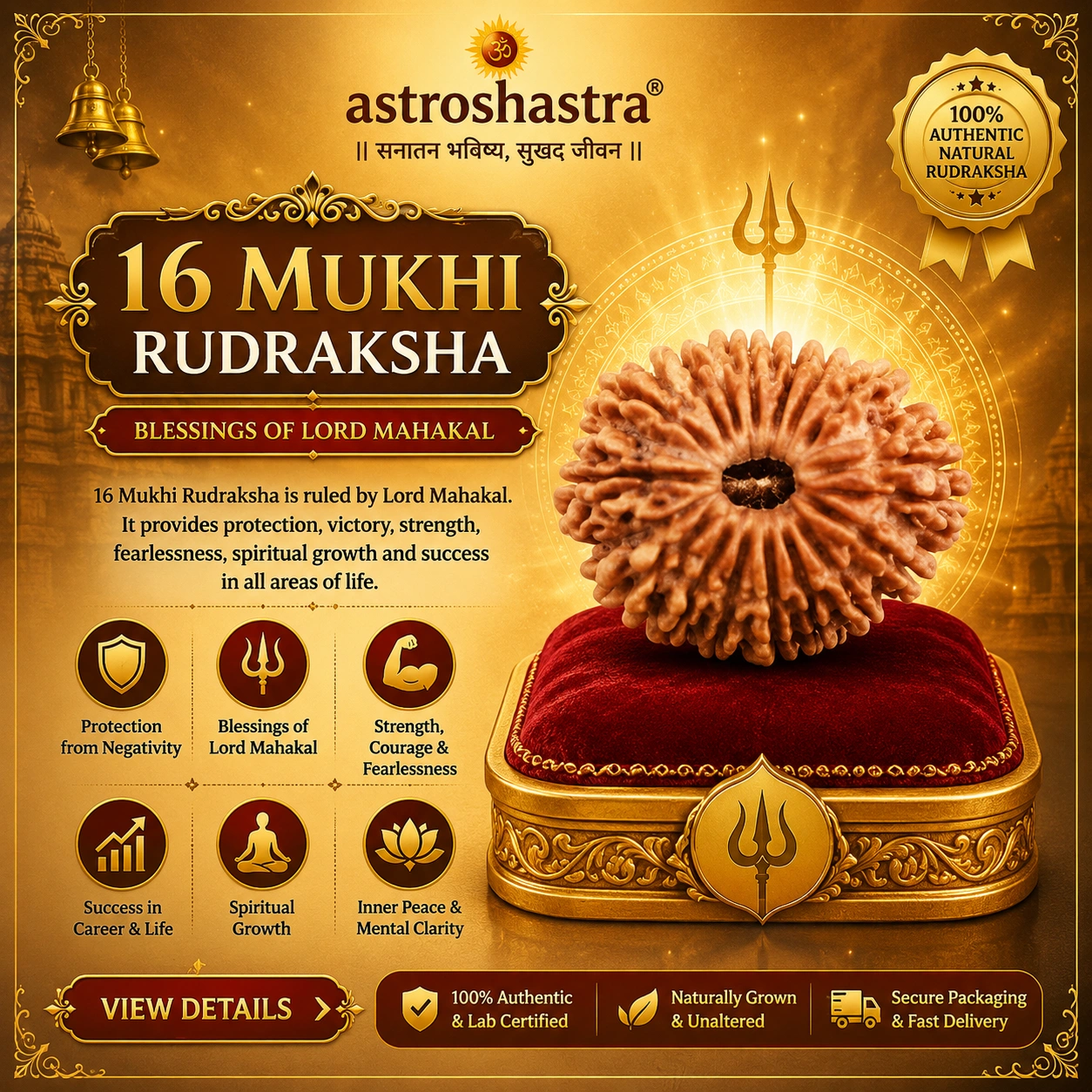 Sixteen Mukhi Rudraksha