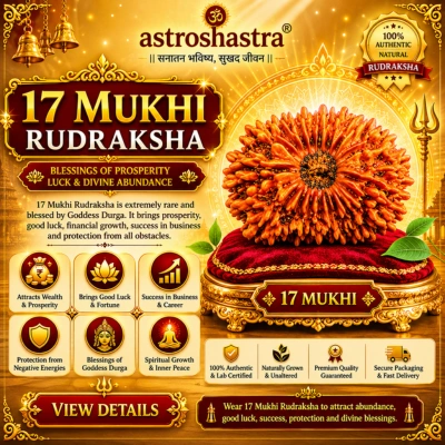 Seventeen Mukhi Rudraksha