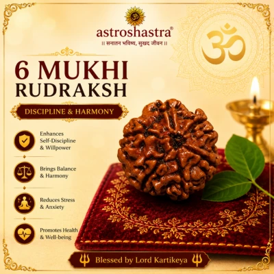 Six Mukhi Rudraksha