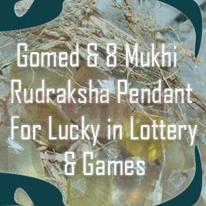 gomed and 8 mukhi