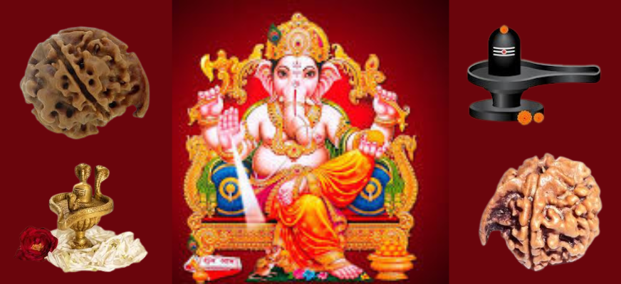 ganesh rudraksh