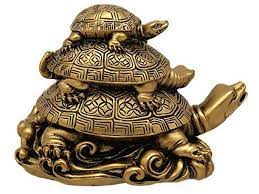 three generation turtle